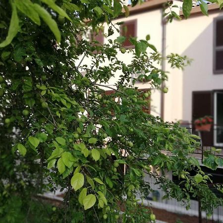 Family Apartment Ingrid 풀라 외부 사진