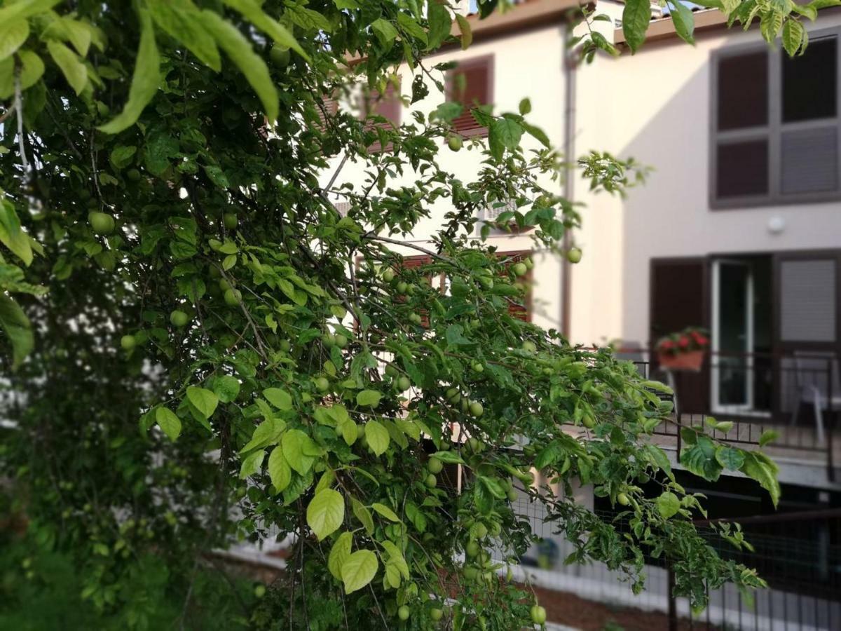 Family Apartment Ingrid 풀라 외부 사진